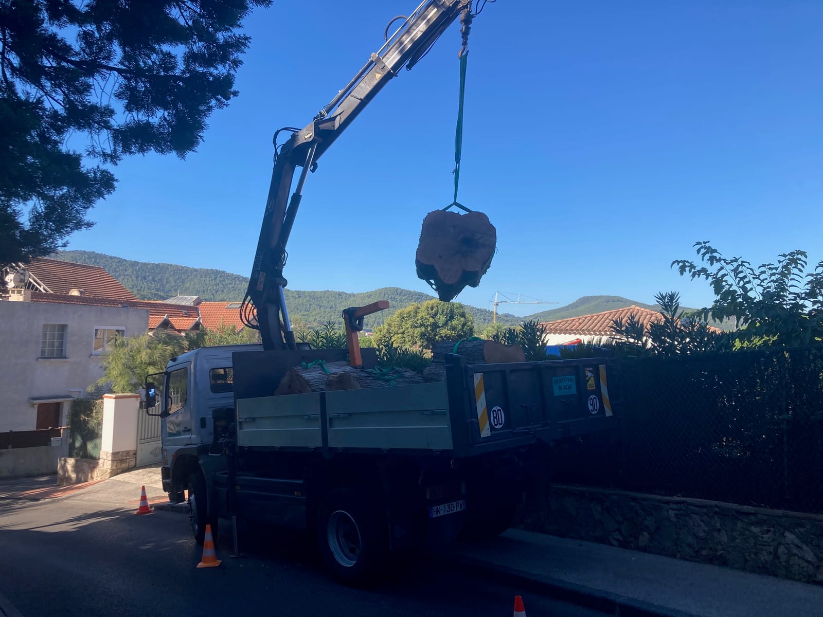 Chargement d'un tronc d'arbre avec le camion grue Transport Blache