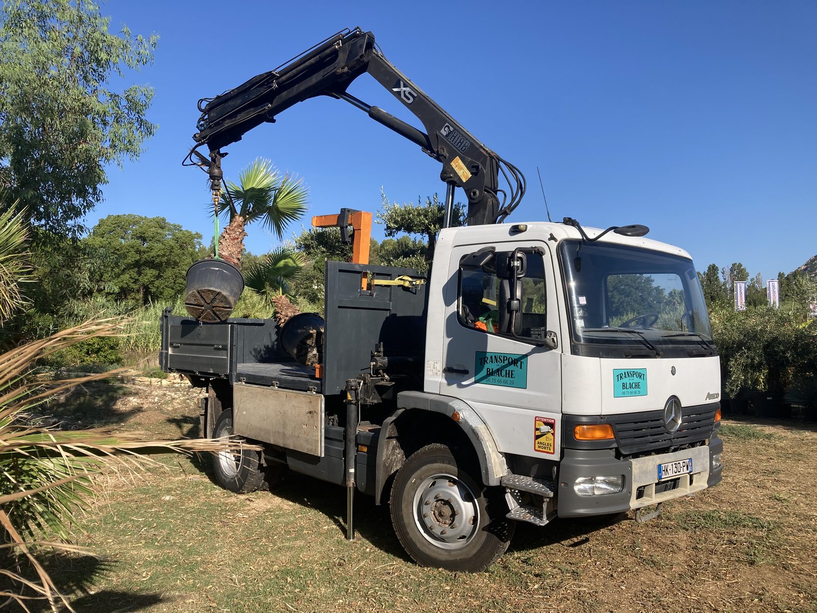 Levage de palmier au camion grue Transport Blache