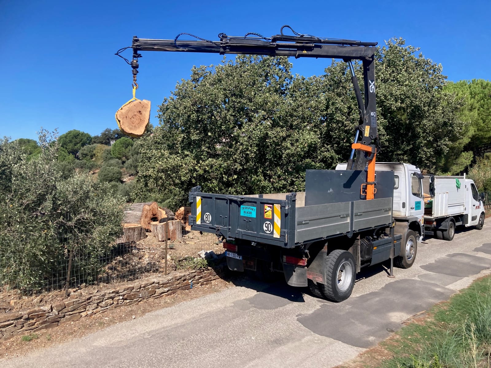 Transport d'un tronc d'arbre avec le camion grue Transport Blache